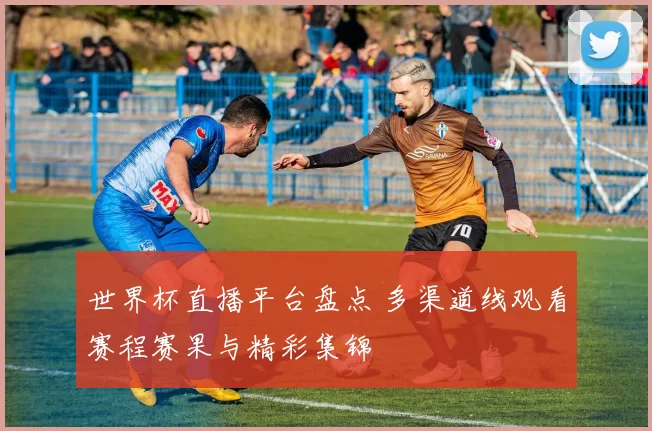 世界杯直播平台盘点 多渠道线观看赛程赛果与精彩集锦