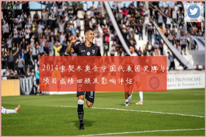 2014索契冬奥会中国代表团奖牌与项目成绩回顾及影响评估