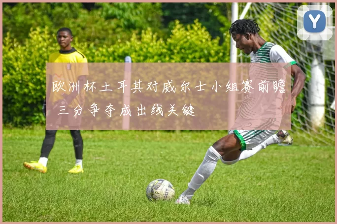 欧洲杯土耳其对威尔士小组赛前瞻 三分争夺成出线关键