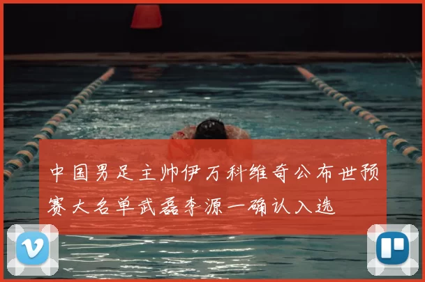 中国男足主帅伊万科维奇公布世预赛大名单武磊李源一确认入选