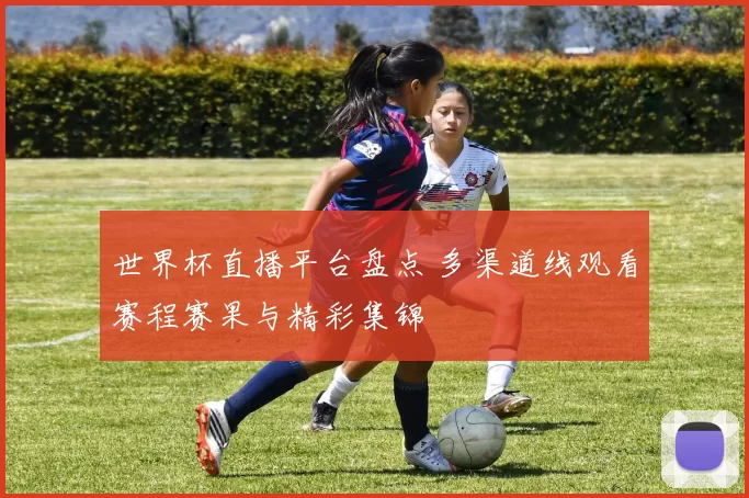 世界杯直播平台盘点 多渠道线观看赛程赛果与精彩集锦